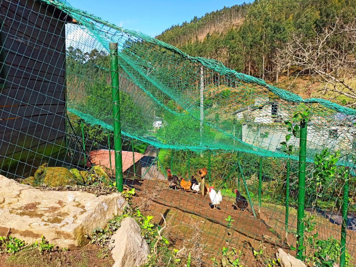 Casa Carmelo Villa Viveiro Eksteriør billede